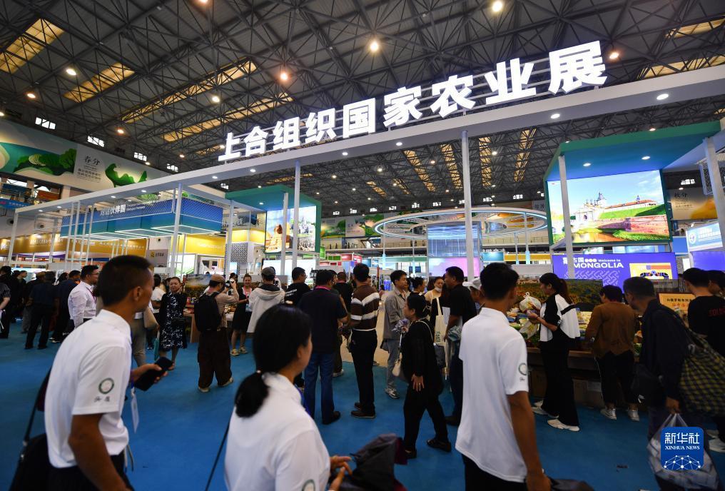 威尼斯app官方手机下载